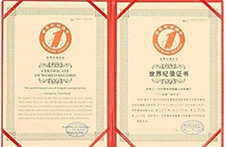 2011年獲吉尼斯世界紀(jì)錄